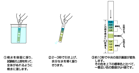 Ph試験紙bcg 0入 パックテストの共立理化学研究所