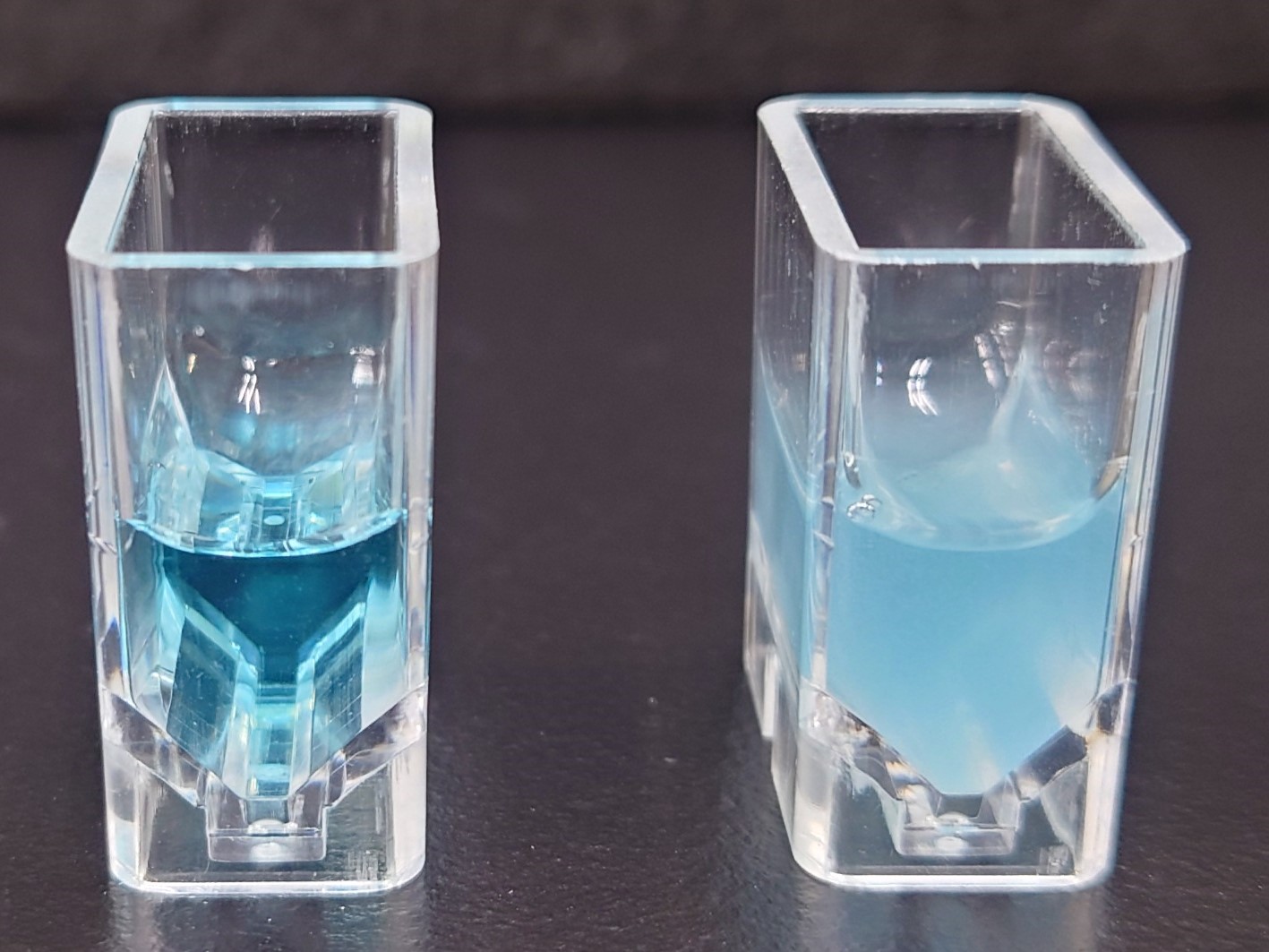 純水（左）と人工海水（右）に標準液を添加し、発色させた時の様子